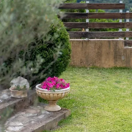 The Olympia Hillside 別荘 Archea Pissa