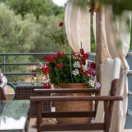 Σπίτι διακοπών The Olympia Hillside Αρχαία Πίσσα