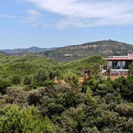 The Olympia Hillside Αρχαία Πίσσα